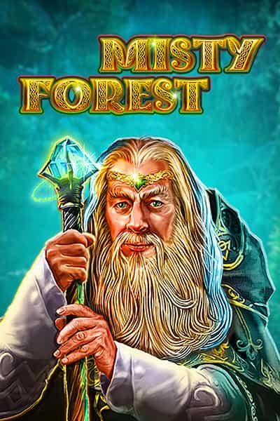 Misty Forest